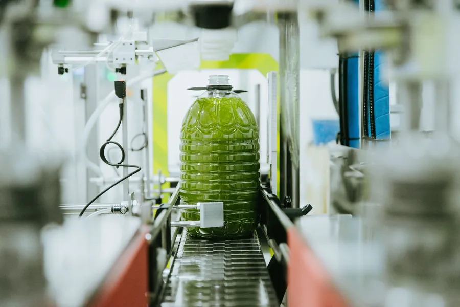 Envasado de aceite en Aceites La Recovera